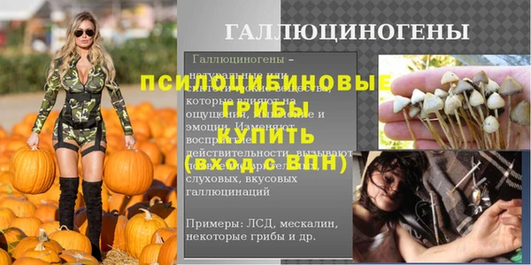 амф Ачинск