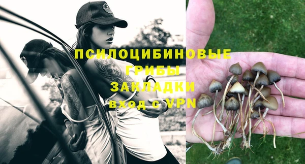 mix Надым