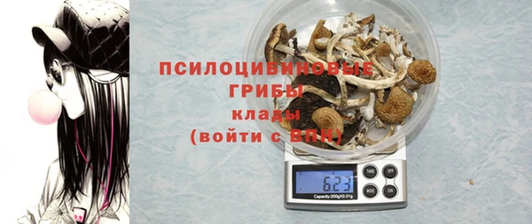 mix Надым