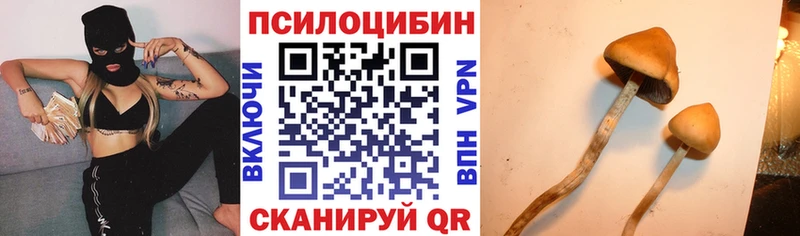 Галлюциногенные грибы прущие грибы  что такое наркотик  Красково 